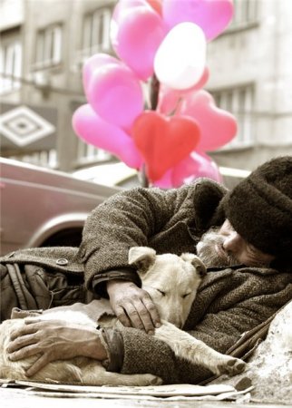 Прикольные картинки