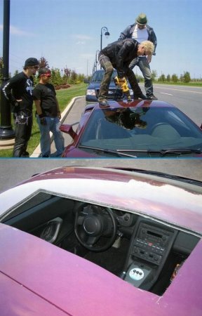 Прикольные картинки