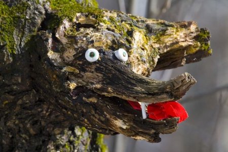 Прикольные картинки