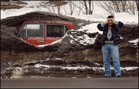 Прикольные картинки