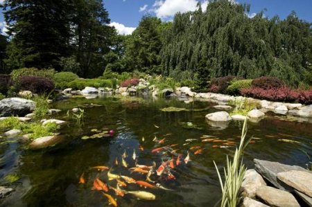 За 75 миллионов (25 фото)