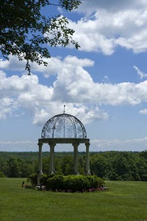 За 75 миллионов (25 фото)