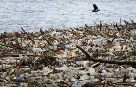 День Земли (20 фото)