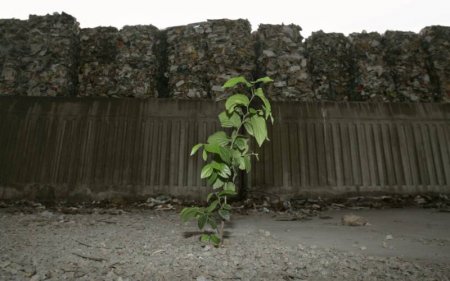 День Земли (20 фото)