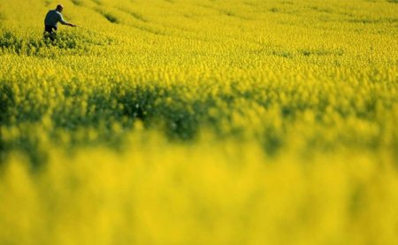 День Земли (20 фото)