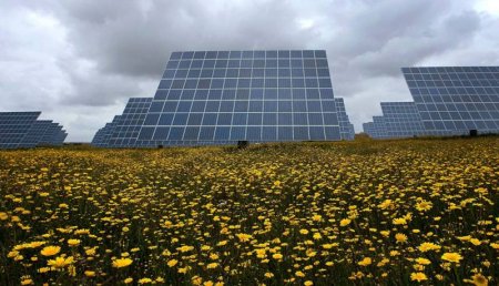 День Земли (20 фото)