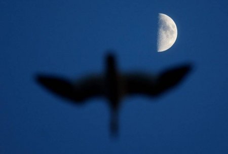 День Земли (20 фото)