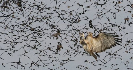 День Земли (20 фото)