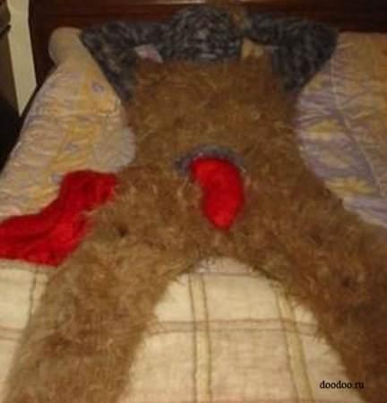 Маньяки вязания (23 фото)