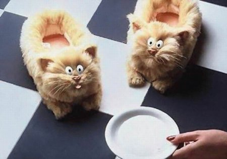 Необычные тапочки (18 фото)