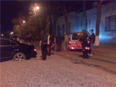 Ловушка для мерина (14 фото)