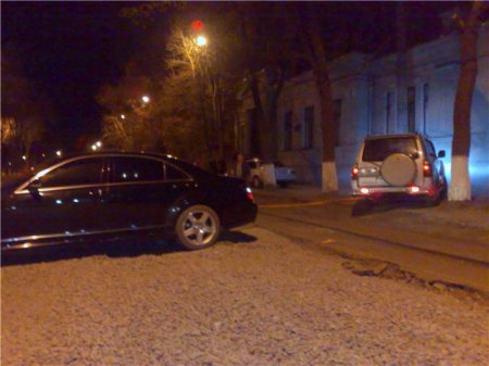 Ловушка для мерина (14 фото)