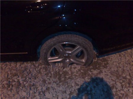 Ловушка для мерина (14 фото)