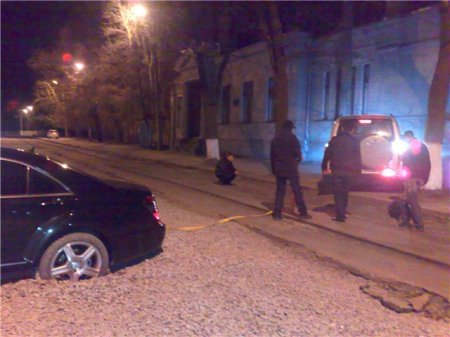 Ловушка для мерина (14 фото)