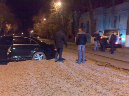 Ловушка для мерина (14 фото)