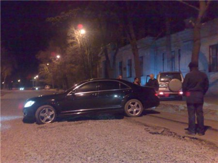 Ловушка для мерина (14 фото)