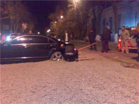 Ловушка для мерина (14 фото)