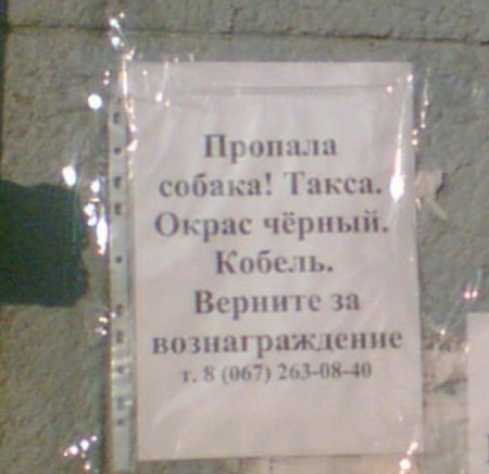 Объявление на ура (2 фото)