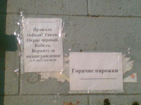 Объявление на ура (2 фото)