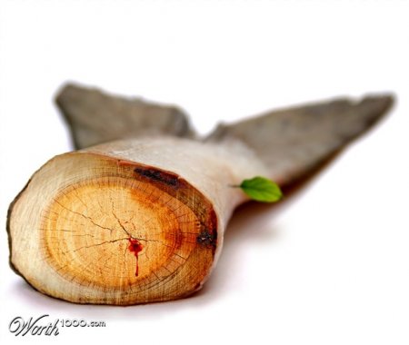 Все из дерева (30 фото)