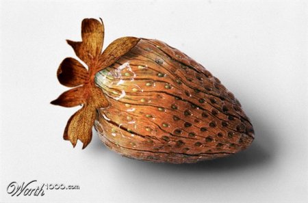 Все из дерева (30 фото)