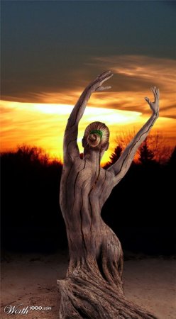 Все из дерева (30 фото)