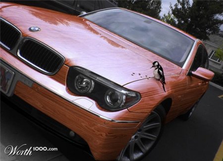 Все из дерева (30 фото)