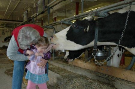 Вкусная девочка (3 фото)