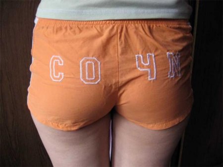 Китайцы готовятся к Олимпиаде в Сочи (3 фото)