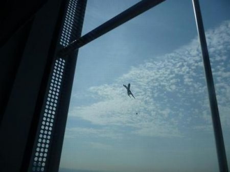 Паника в Нью-Йорке (5 фото)