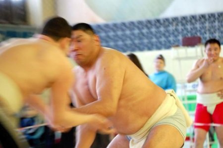 Сумо по - русски (14 фото)