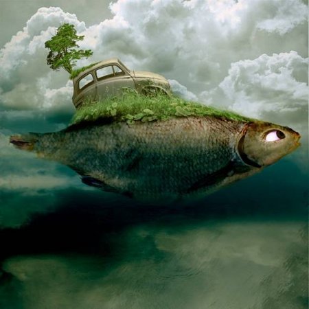 Странный креатив (21 фото)