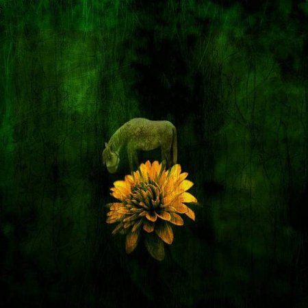 Странный креатив (21 фото)