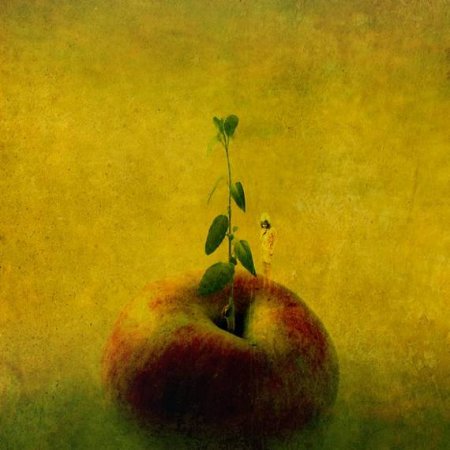 Странный креатив (21 фото)