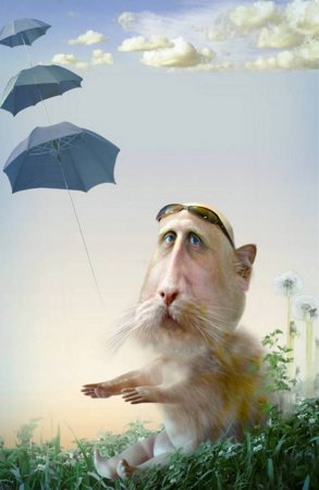 Странный креатив (21 фото)