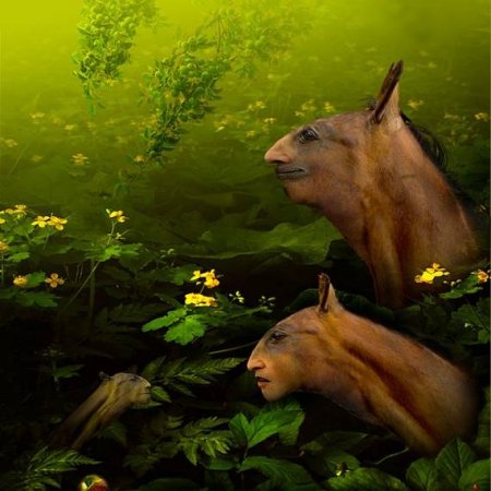 Странный креатив (21 фото)