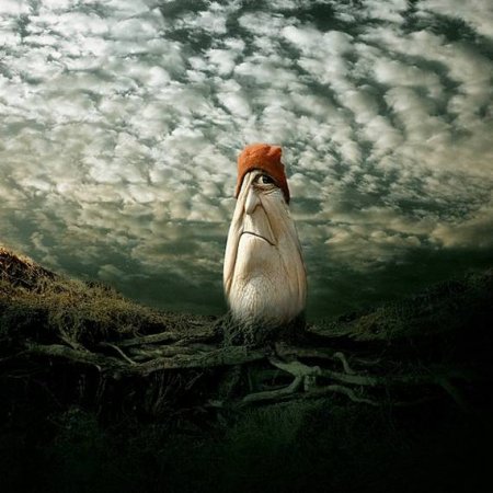 Странный креатив (21 фото)