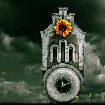 Странный креатив (21 фото)