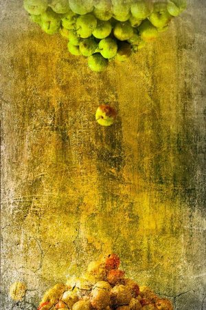 Странный креатив (21 фото)