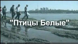 Репер сява - птицы белые