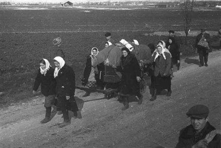 Дороги войны (27 фото)