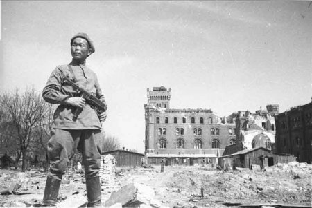 Дороги войны (27 фото)