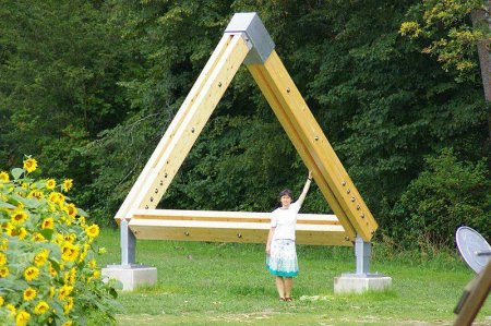 Реальные реализации оптических иллюзий (16 фото)