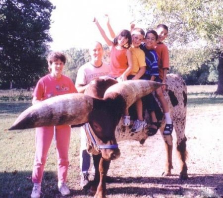 Вырос бычок