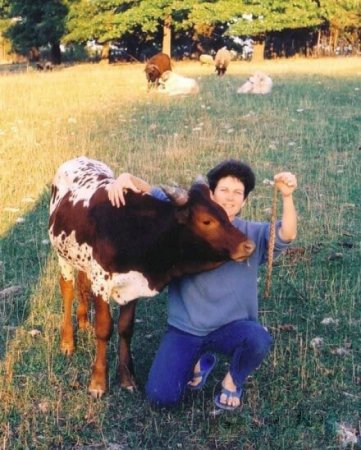 Вырос бычок