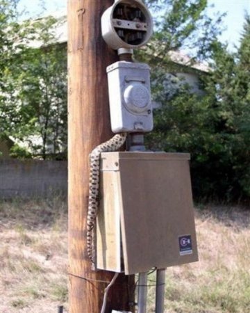 В погоне за добычей (5 фото)