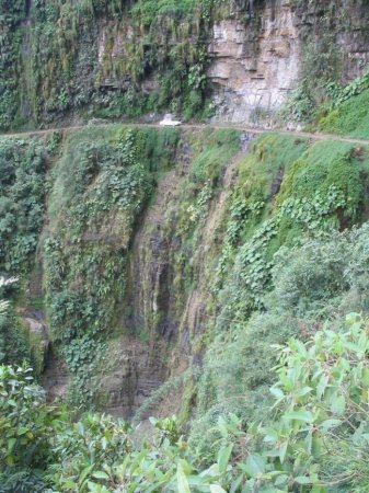 Очень сложно не упасть (24 фото)