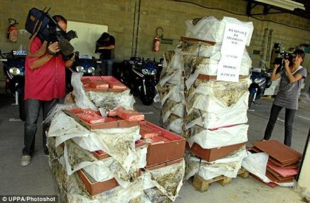 Кокаина на 30 млн. (4 фото)