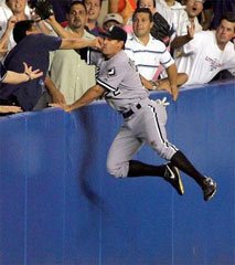 Быть зрителем - опасно (14 фото)