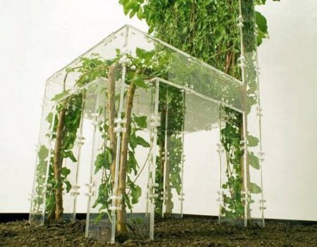 Креатив (19 фото)